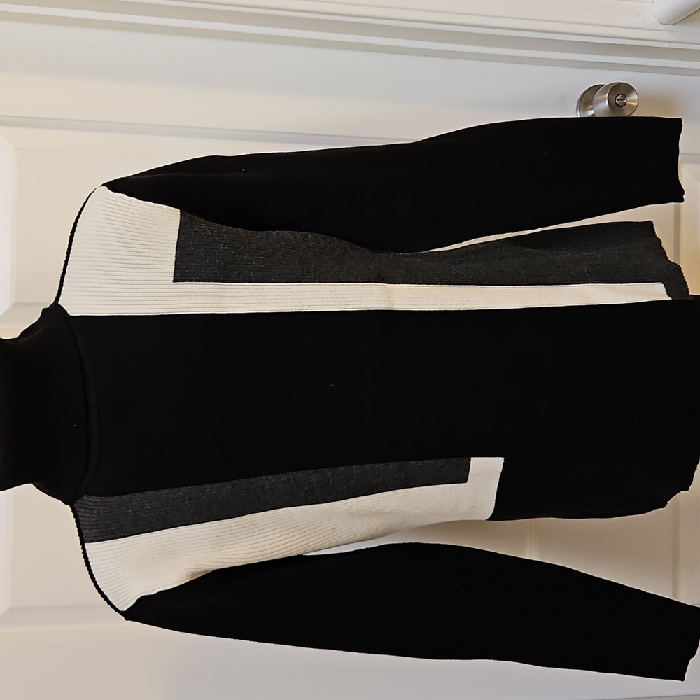 STYLE & CO. Turtle Neck Sweater- PM